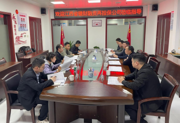 <strong>省贛財(cái)融資再擔(dān)保公司、省財(cái)惠通實(shí)業(yè)公司蒞余開(kāi)展代償補(bǔ)償項(xiàng)目追償摸底專(zhuān)項(xiàng)工作</strong>
